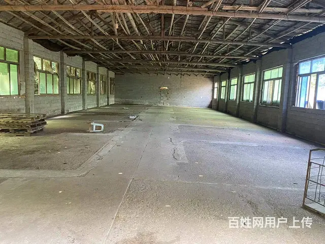 （房东直租）金洲大道380➕300平米两栋厂房带1000空地 - 图片 8