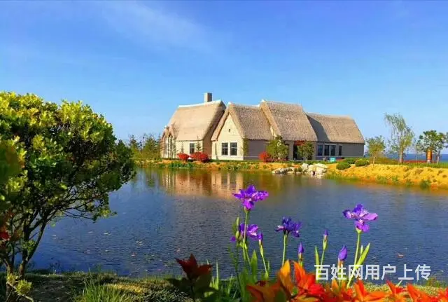 荣成海世界精装一线海景房樱花湖人气楼盘全明户型 - 图片 7