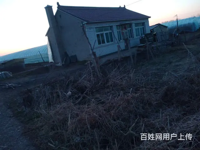民房出售带冷棚 - 图片 1