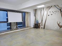 中信红树湾旁 天朗海峰 1室1厅64平，可住可办公，近拱北