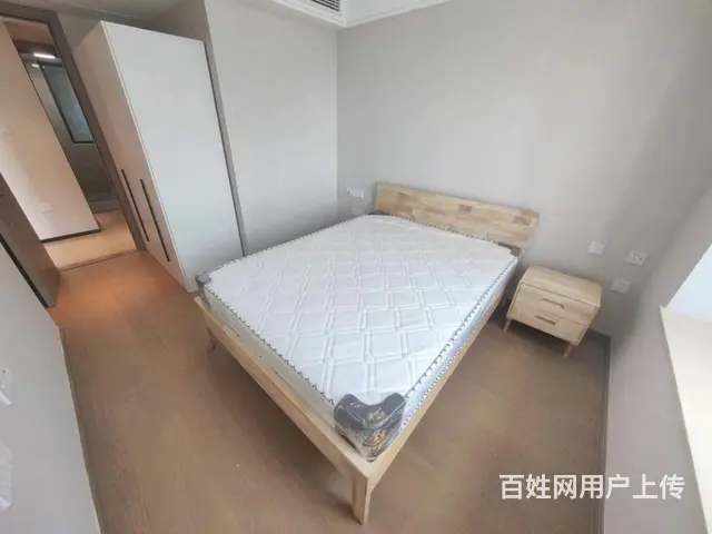 可短租月付 医疗器械园 联影 人福 高农生物园 中 - 图片 6