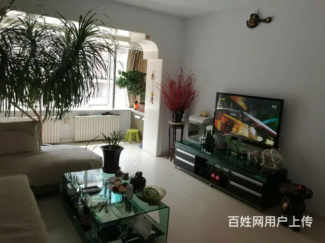 鹤岗市工农区装潢街 - 图片 1