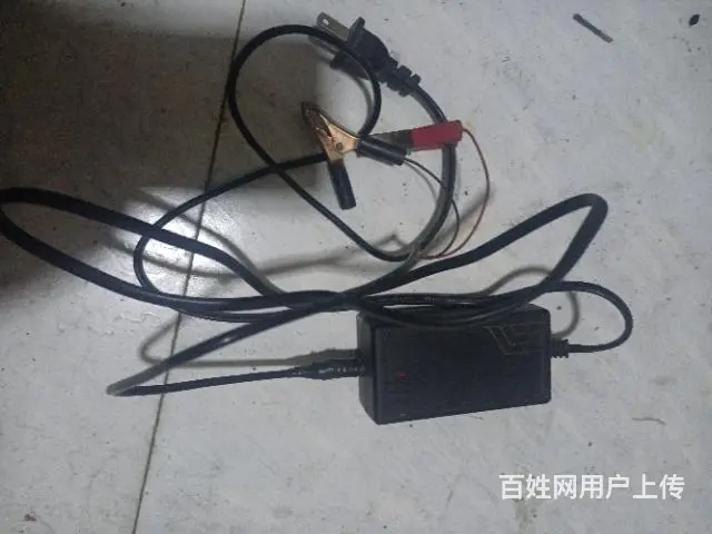 【搞定了！】达峰电瓶脉冲修复仪 - 图片 2