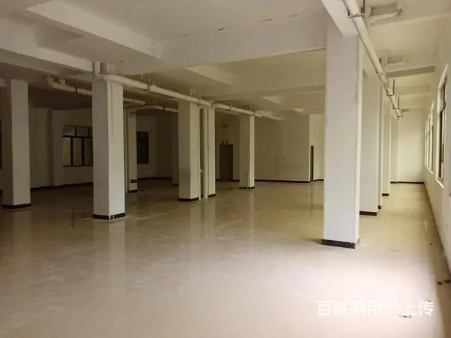 （51旺铺推荐）崖城300平+120平空铺出租 - 图片 3