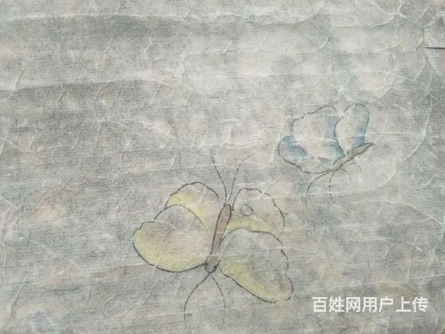 清朝释真然的鹦鹉图 - 图片 5