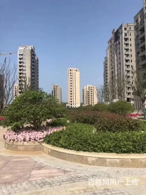 威海五渚河生态城 盘福园 70年产权一线海景房 - 图片 4