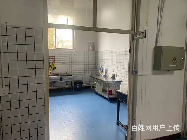 （益铺）低价急转临沂大学沂水校区餐厅档口整体转让（45平） - 图片 6