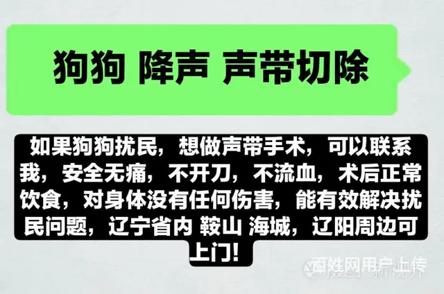 犬去声带 扰民 - 图片