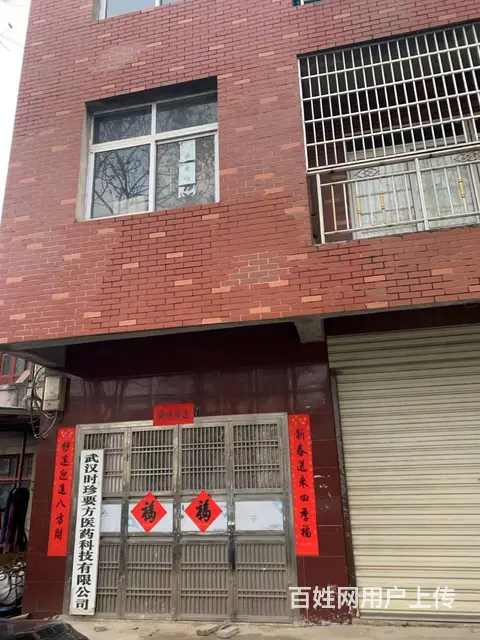 房东低价直租武汉阳逻地铁线旁独门独院700平米商铺 - 图片 1
