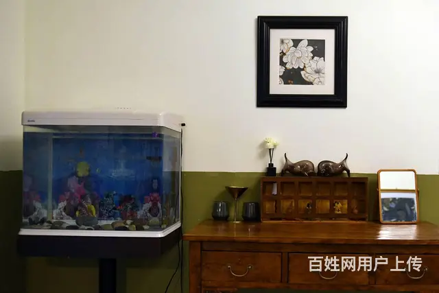 宿州市蓝石西区 商住两用 精装修 - 图片 7