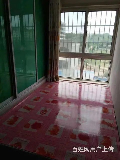 sz出租:金海嘉园，东向公寓，二楼，56平，小两居，除了空调 - 图片 3