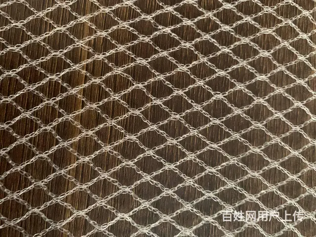 秦皇岛春禾防雹网葡萄苹果果园防冰雹 - 图片 4