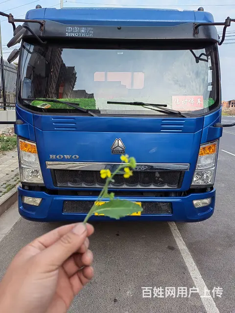 重汽豪沃(HOWO) 其他 平板车 国5 - 图片 1
