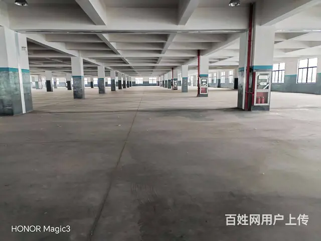 碧溪沿江开发区32000平方标准厂房出租，场地大，环境优美。 - 图片 10