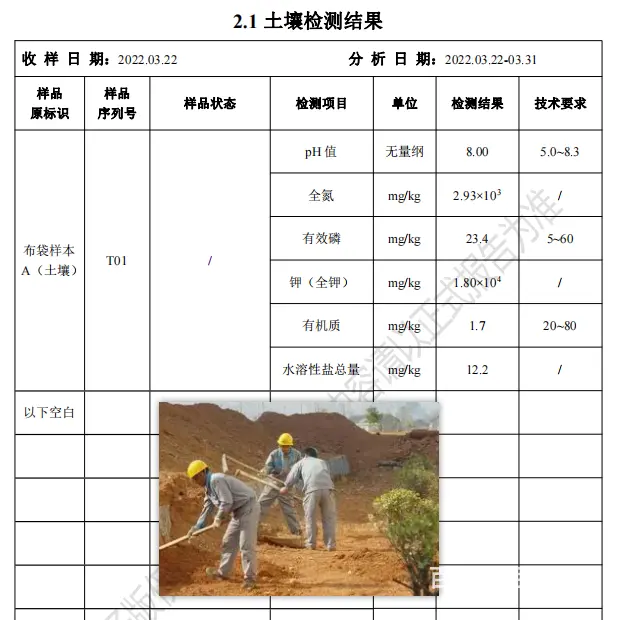 点击打开原图
