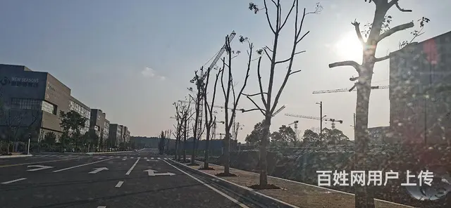 鄱阳湖科技新城核心地块 免租进行中 - 图片 4