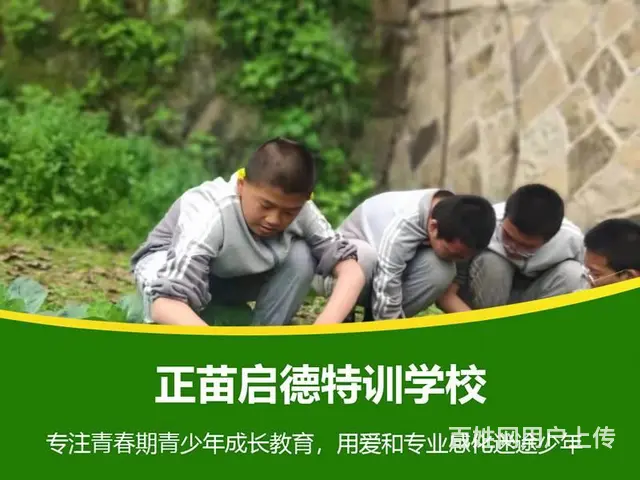 江西宜春叛逆不听话孩子改造学校 - 图片 8