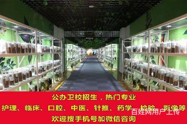 威海卫生学校招生简章的图片