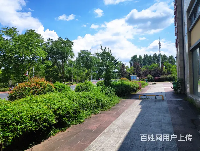 依云红郡单层80平方米店面急售 - 图片 9