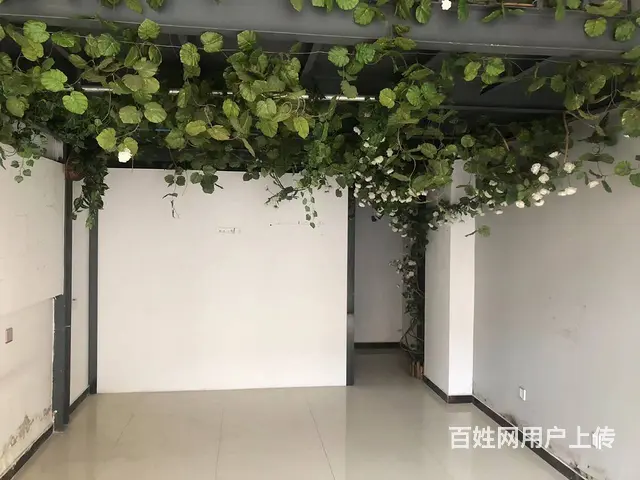 出租张店银泰城商业街店铺 - 图片 2