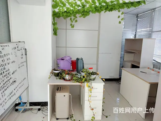 巨划算 珠海香洲 恒和中心 125㎡精装带家具 5300 - 图片 3