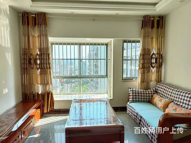 极中心 普通住宅2厅 精装修 - 图片 1