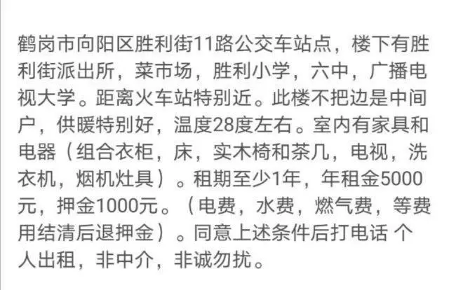 鹤岗市向阳区胜利街楼房 - 图片 2