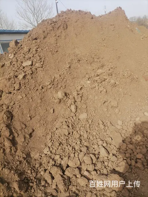 绿化用土 种植土 种植蔬菜水果土 - 图片 1