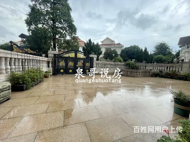 凤鸣苑新中式独栋 472平花园带鱼池 五房双主卧 - 图片 8