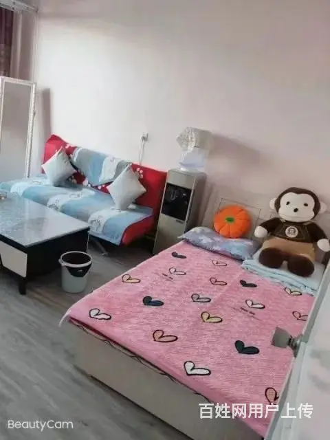 铁路西园小区 普通住宅1厅 中等装修 - 图片 2