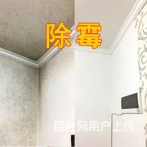 番禺石基除霉公司，广州专业墙体去霉，处理天花发霉 - 图片 5