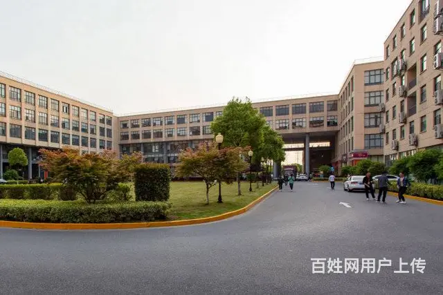 数字产业园免房租免物业火热招商中... - 图片 1