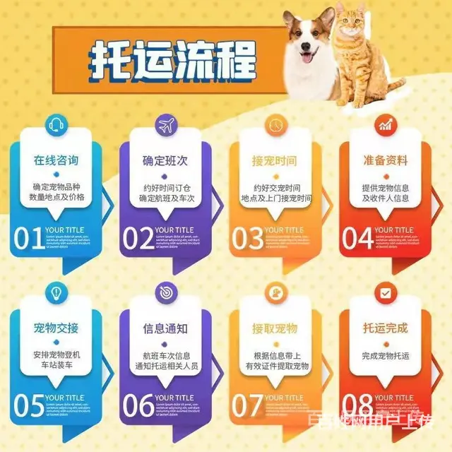 琼中宠物托运（猫狗）活体邮寄快递（2022宠物运输 ）今日推 - 图片 3