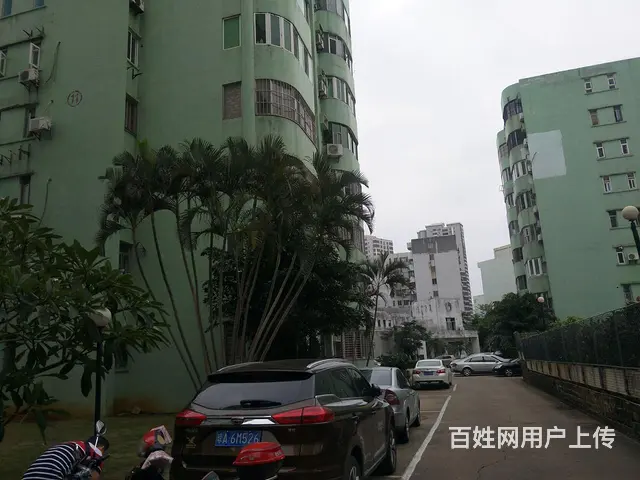 国贸万绿园对面      龙珠新城3房 - 图片 9