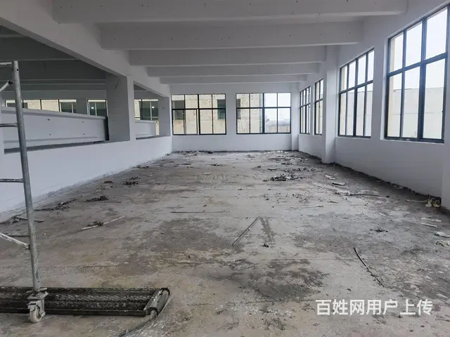 新建单层厂房出租，《真实有效》 - 图片 4