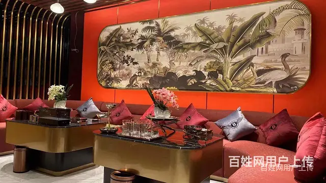 盘点南充著名夜总会订房预订值得玩耍的夜总会 - 图片 4