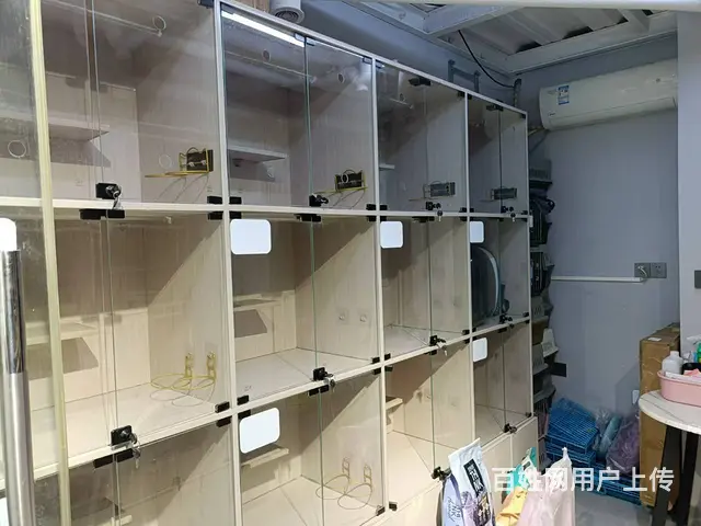 （51旺铺推荐）海螺天悦湖畔70平宠物店转让 - 图片 11