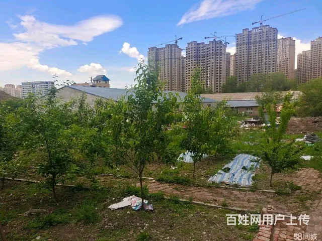 南岗哈西西铁街厂房场地暖库出租 - 图片 8
