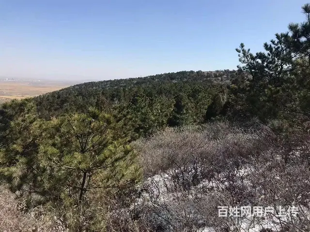 山林出售出租 - 图片 8