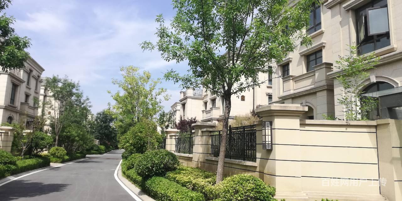 【图】- 郑北新区独栋别墅 院子450平 还送两个车位 - 郑州惠济二手房