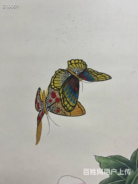 俞致贞精品花蝶134✖️66 - 图片 4