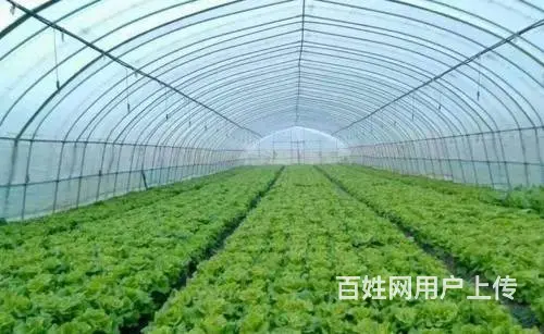 绍兴地区批发大棚骨架上门定做各种养殖大棚种植大棚 - 图片 3