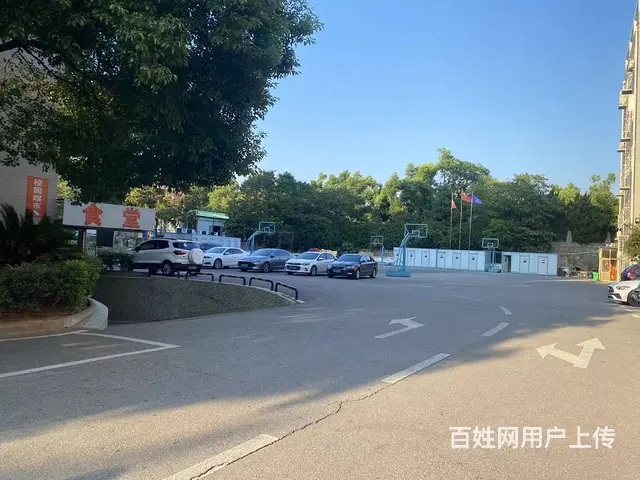 枫林三路10000平商业办公楼，学校，电商，创业基地优价出租 - 图片 6