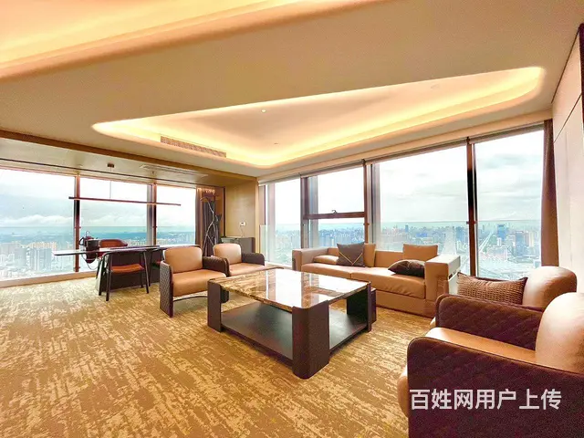 东方希望天祥广场地铁世纪城站天祥二街精装跃层天际出租 - 图片 10