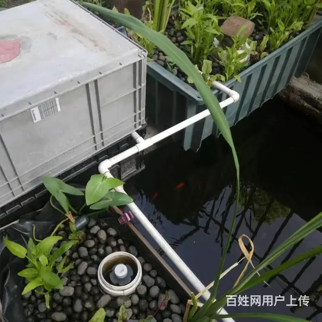 洛阳陶粒 配制轻骨料混凝土 无土栽培陶粒 - 图片 9