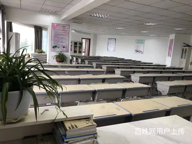 执业医师备考必知：考试重点内容+备考策略 - 图片 2
