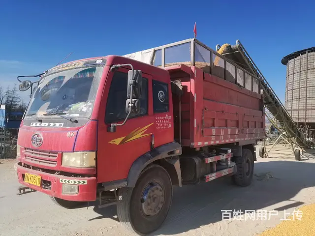 【搞定了！】出售10年年解放金牛 - 图片 1