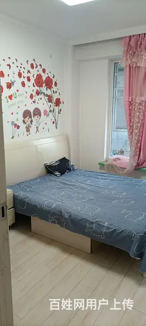 屋里什么都有 - 图片 5