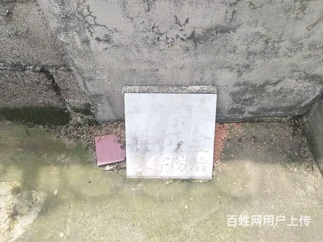 双峰县专业灭鼠灭蟑螂灭白蚁灭四害 - 图片 4