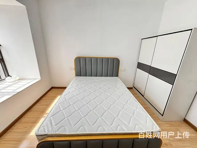 48号线岳家嘴双地铁站 正堂时代 骏业财富中心 金 - 图片 4